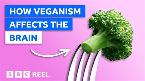 How A Vegan Diet Affects Your Brain Bbc Reel Youtube