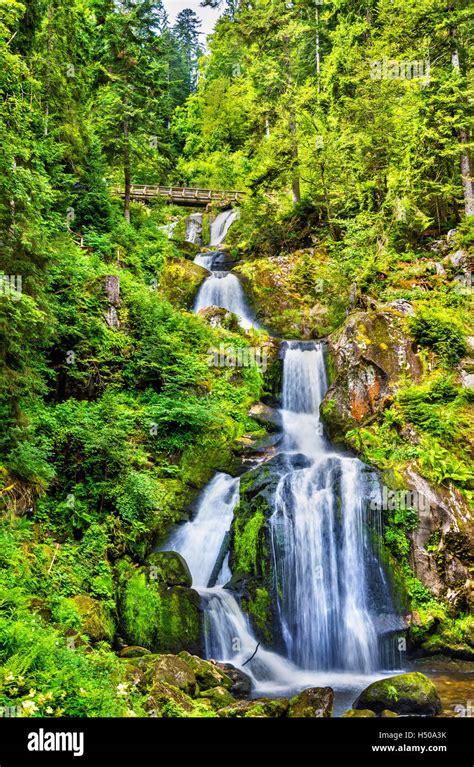 Triberg Falls One Of The Highest Waterfalls In Germany The Black