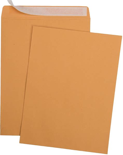 100 10 X 13 Self Seal Brown Kraft Catalog Envelopes 28lb 100 Count