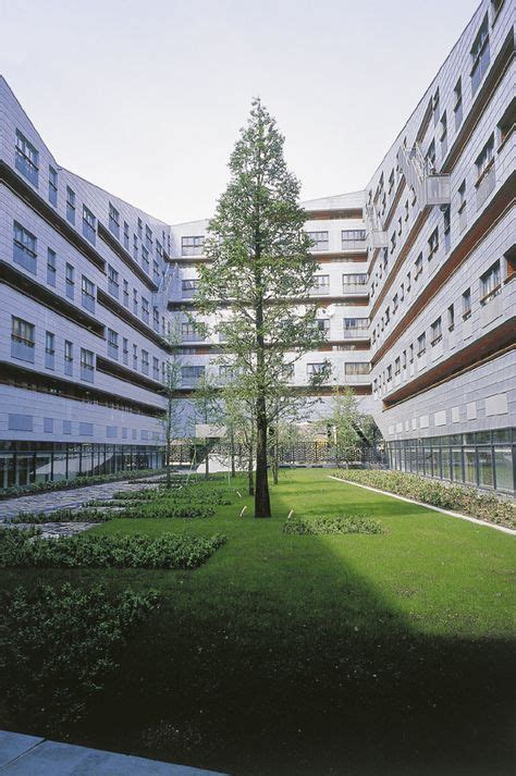 May 19, 2021 · kendall gifford, writer, carpenter, father. Pin by de Architekten Cie. . on The Whale, Amsterdam ...