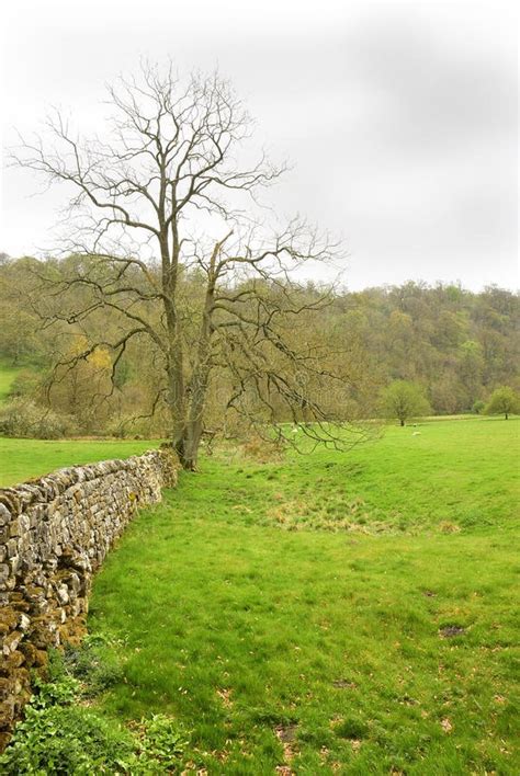 Peaceful English Countryside Stock Image Image Of Life Valleys