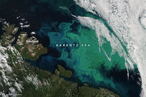 Phytoplankton Blooms Hint At Changing Arctic Waters Nunatsiaq News