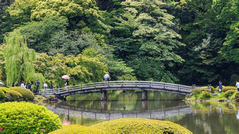 7 Best Japanese Gardens In Tokyo To Enjoy Japan S Seasonal Beauty