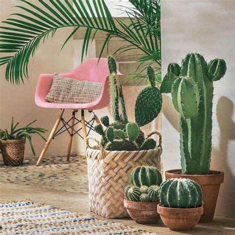 30 Best Creative Cactus Decorations To Beautify Your Home 24 Moltoon