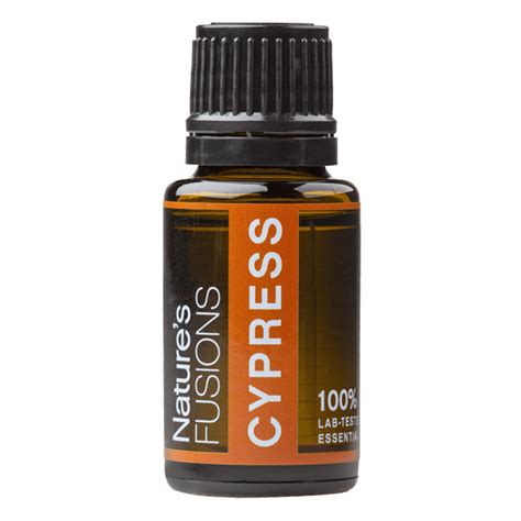 Cypress Essential Oil Tree Spirit Wellness