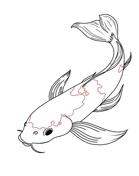 How To Draw Koi Fish Draw Central Koi Fish Drawing Drawing Koi