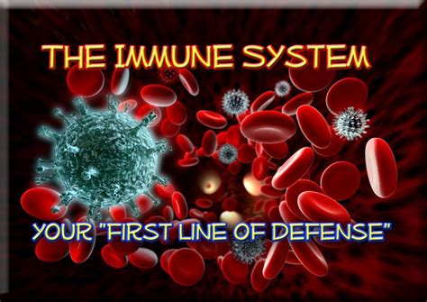 A Nerdy Explanation Of The Vaccine Immune Response