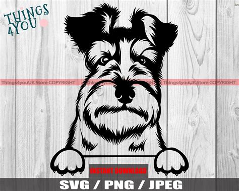 Miniature Schnauzer SVG Schnauzer Miniature Schnauzer Etsy Buy