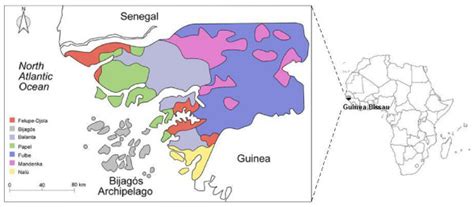 Guinea Ethnic Map