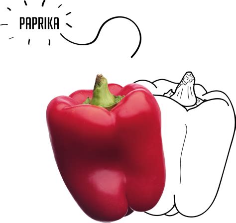 Bell Pepper Png Image Bell Peppers Png Transparent Clip Art Library