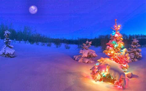 Snowy Night Background Hd Wallpapers Blog