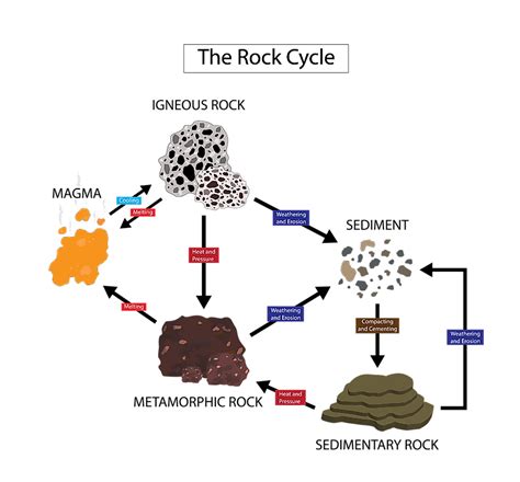 How Are Metamorphic Rocks Formed The Knowledge Library