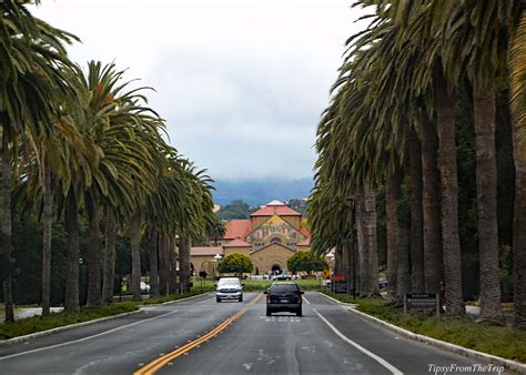 A Photo Tour Of The One And Only Stanford University Tipsy From The Trip