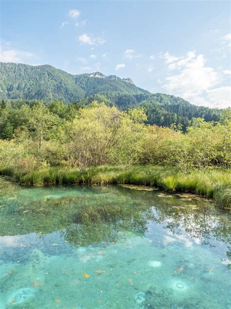 Exploring Zelenci Nature Reserve Kranjska Gora Slovenia Kotravellers