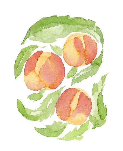 Watercolor Illustration Peaches Download Illustration 2020