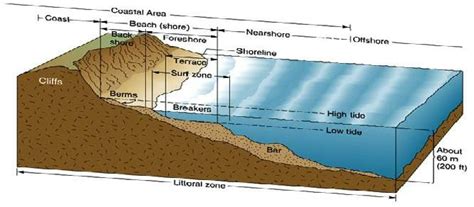 Henrys Home Littoral Zone