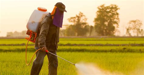 Quels Sont Les Dangers Des Pesticides