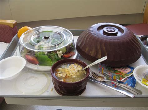 A Variety Of Hospital Meals Worldwide 22 Pics