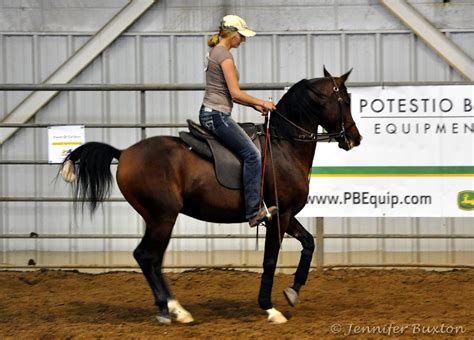 Braymere Custom Saddlery Training Tack Classes