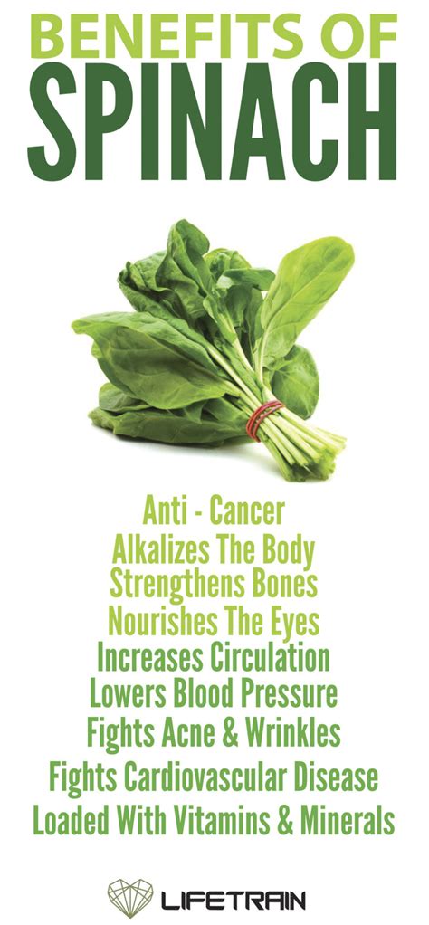 Health Blog Benefits Of Spinach Infographic