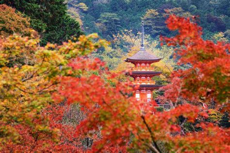 15 Places Around The World To See Gorgeous Fall Foliage