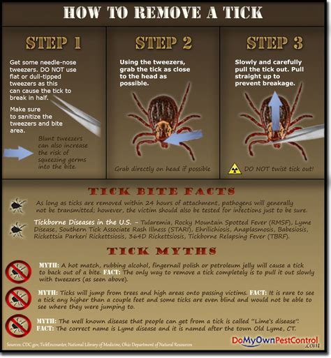 How To Remove A Tick Tick Removal