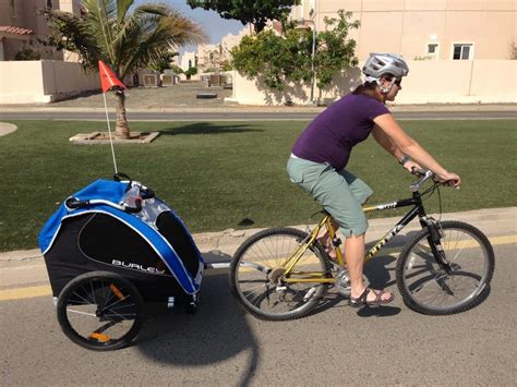 Burley Encore Bike Trailer And Jogger Review Bring The Kids