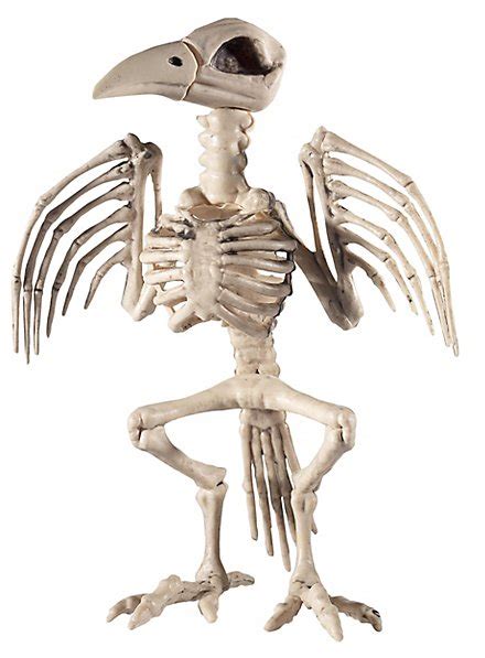 Raven Skeleton Halloween Deco