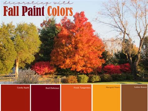 Fall Color Palette With Trees In The Background