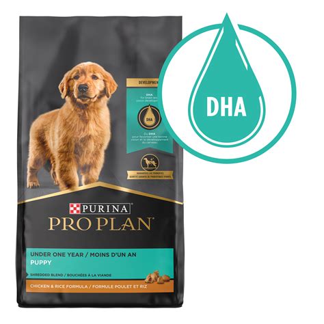 This recipe features real chicken as the first ingredient and provides specialized nutrition to meet the unique needs of puppies. Purina Pro Plan With Probiotics, High Protein Dry Puppy ...