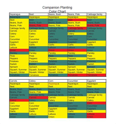 Planting squash at the same time does well on the conditions and grows and spreads on the ground growing and harvested long after the harvest of the beans and the corn. FREE 9+ Sample Companion Planting Chart Templates in PDF | MS Word