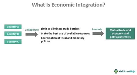 Economic Integration Meaning Levels Example Advantages