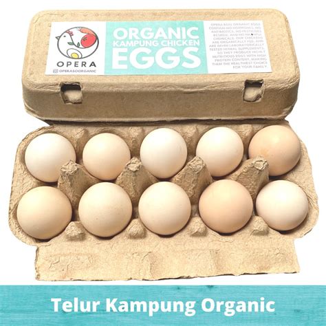 Jual Telur Ayam Kampung Organik 1 Butir Opera Organic Chicken Eggs Egg