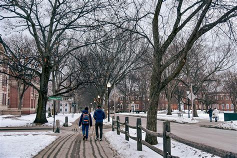 A Guide to Thriving during Winter at Dartmouth | The Dartmouth