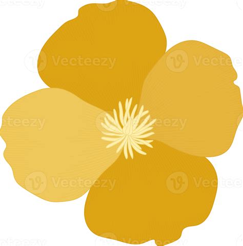 Free Yellow California Poppy Flower Hand Drawn Illustration 10173479