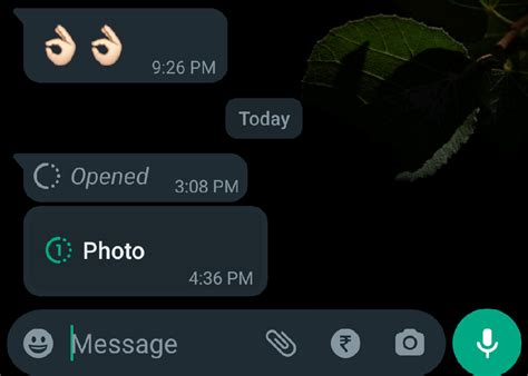 Take Screenshot Of Whatsapp View Once Messages In 2024