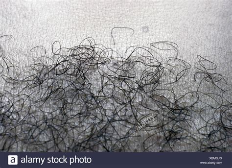 Pubic Hair High Resolution Stock Photography And Images Alamy