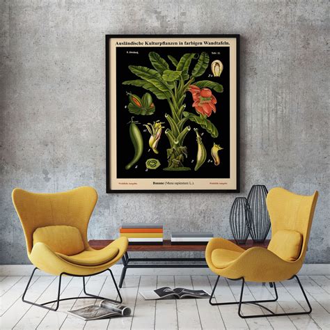 Botanical Art Set Of Botany Educational Chart Prints Botanical Chart