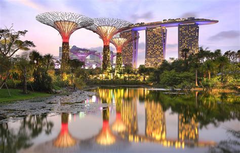 Обои пруд парк Сингапур отель Singapore Marina Bay Sands Gardens