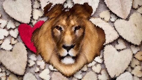 Ini Bahayanya Raja Singa Bisa Rusak Organ Otak Infodenpasar