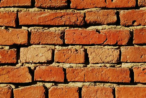 Protruding Brick Wall Texture