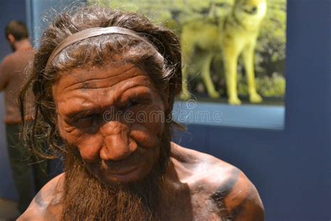251 Hombre De Las Cavernas Prehistórico Fotos De Stock Fotos Libres