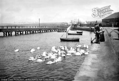 Photo Of Weymouth The Swannery 1890 Francis Frith