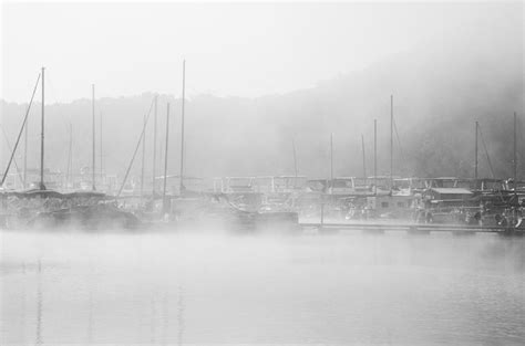 Lifting Fog Photograph By Tracy Deatley