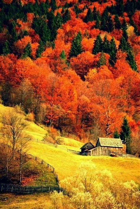 Autumn Amazing Nature Beautiful Places Fall Pictures Nature Pictures