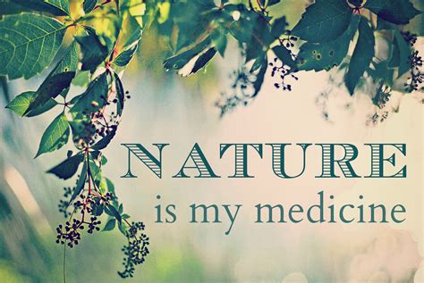 Nature Cure Harnessing The Self Healing Power Of The Body Healthy