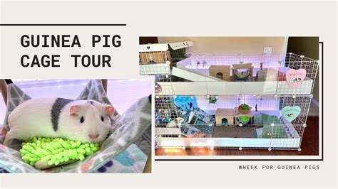 Guinea Pig Cage Tour Stacked C C Cage Youtube