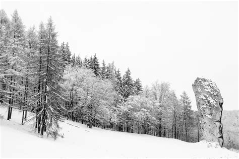 Free Images Landscape Tree Nature Forest Rock Wilderness