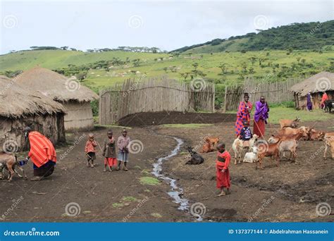 View Of Masai Village In Ngorongoro Area Editorial Stock Image Image