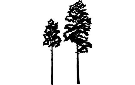 Aspen Tree Vector Silhouette Art Dxf Vectors File Free Download